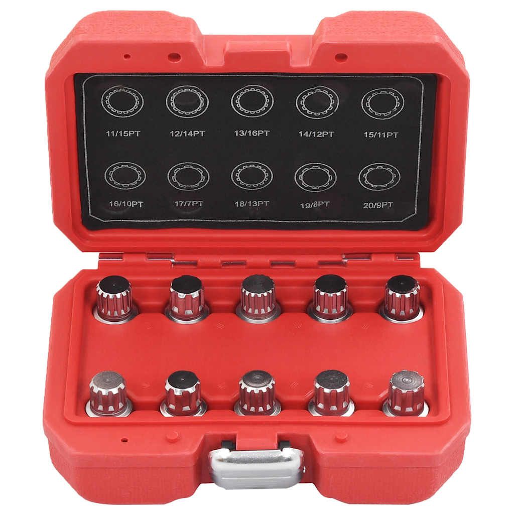 Set Chiavi Dado Ruota di Bloccaggio 10 pz per BMW vidaXL