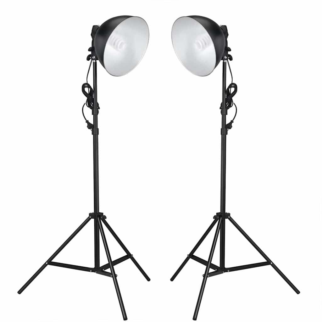 Kit Studio Fotografico con Luci Fondale e Riflettore vidaXL