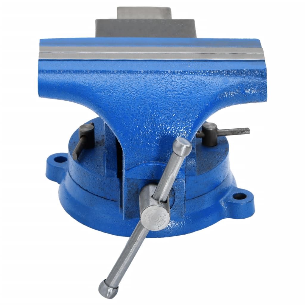 Morsa da Banco Blu 100 mm in Ghisa vidaXL