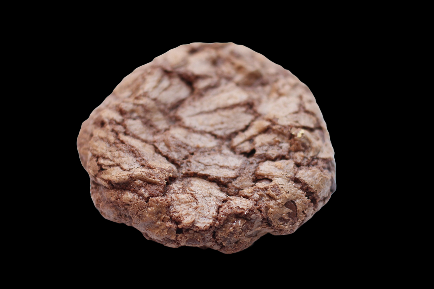 Mocha Chocolate Chip