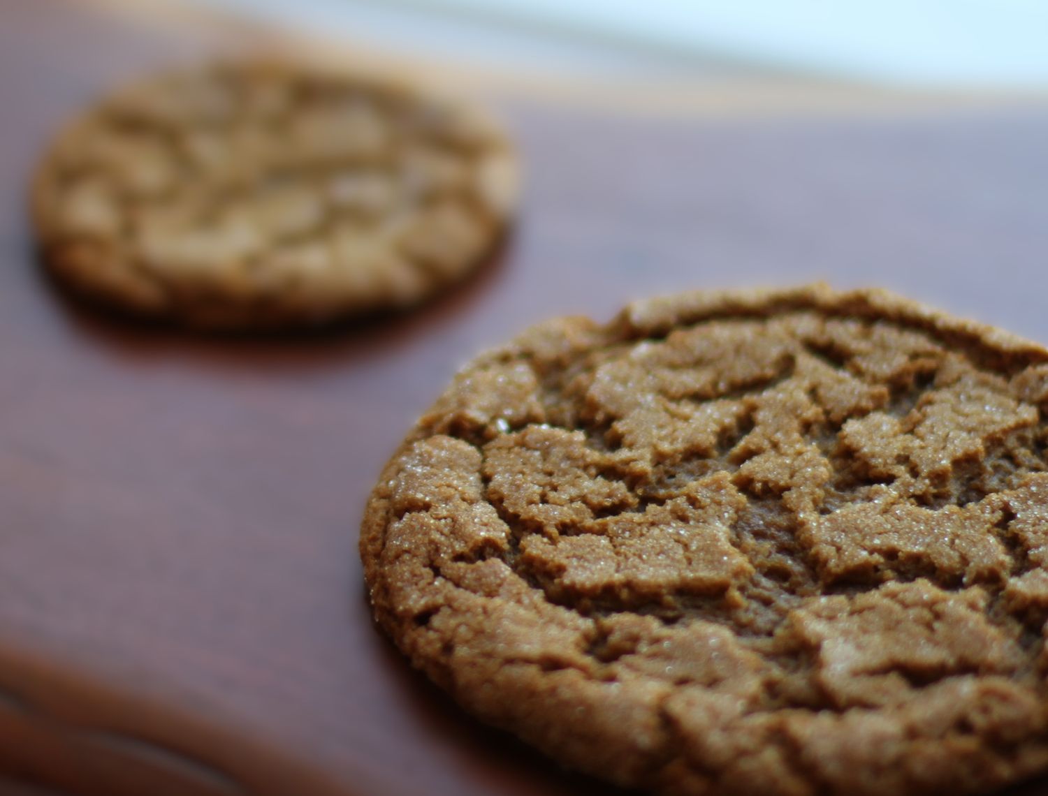 Gingersnap
