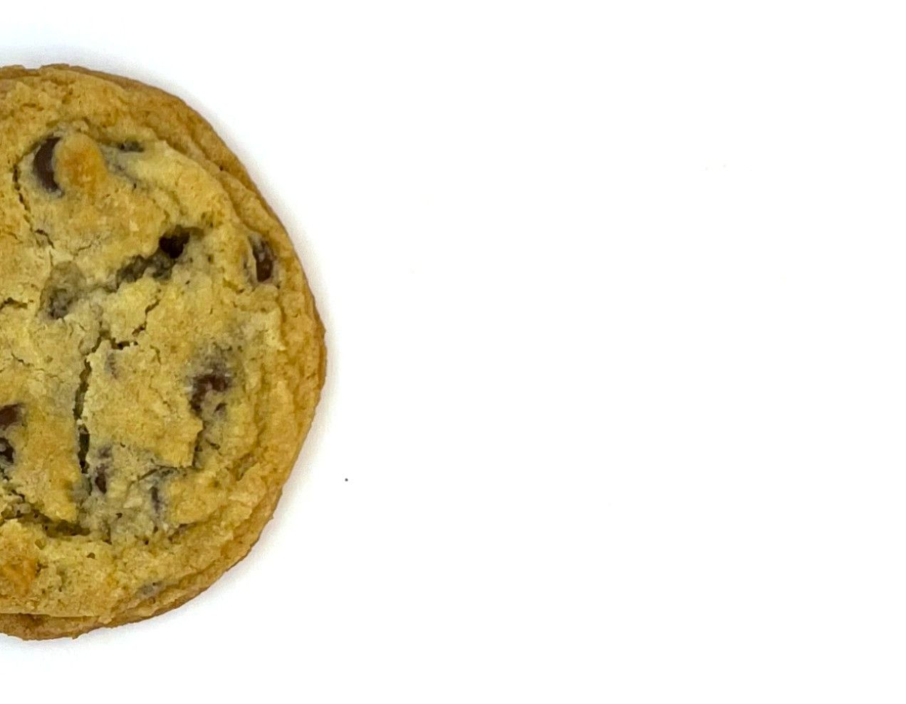 Chocolate Chip