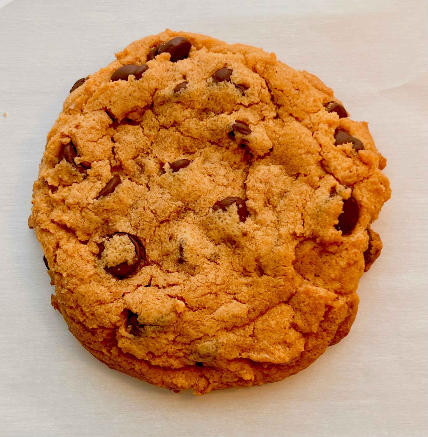 Pumpkin Chocolate Chip
