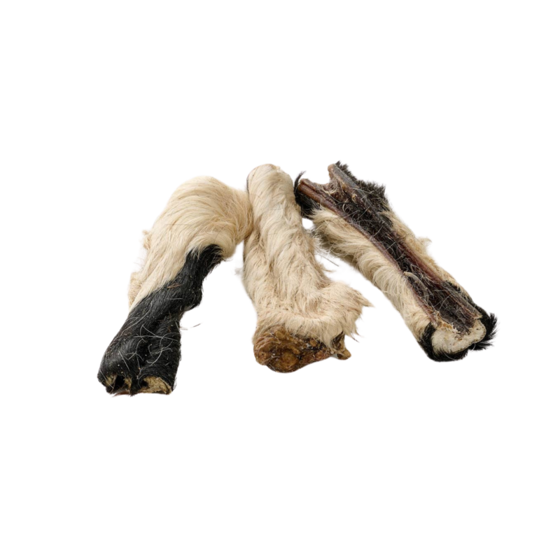 Peau de bœuf avec poils (15cm) - Friandises pour chien
