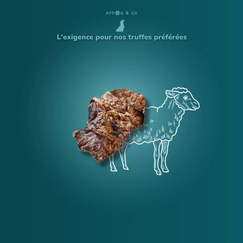Poumon d'agneau - friandises pour chien