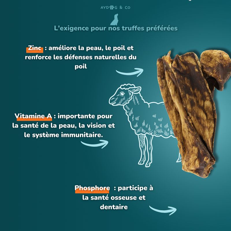 Poumon d'agneau - friandises pour chien