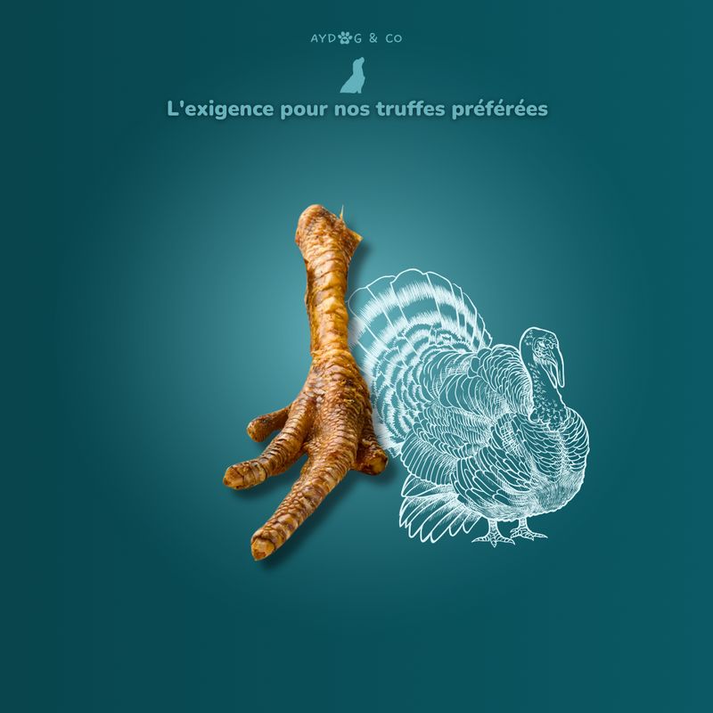 Patte de dinde XL - friandise pour chien