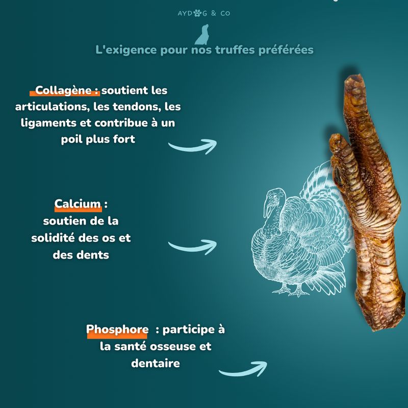 Patte de dinde XL - friandise pour chien