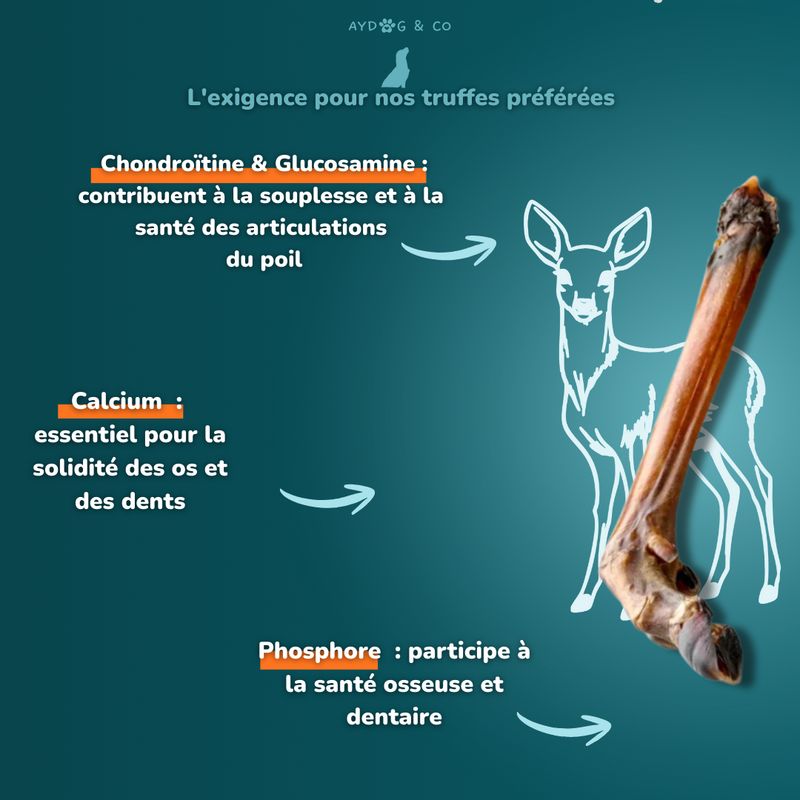 Patte de chevreuil - Friandises pour chien