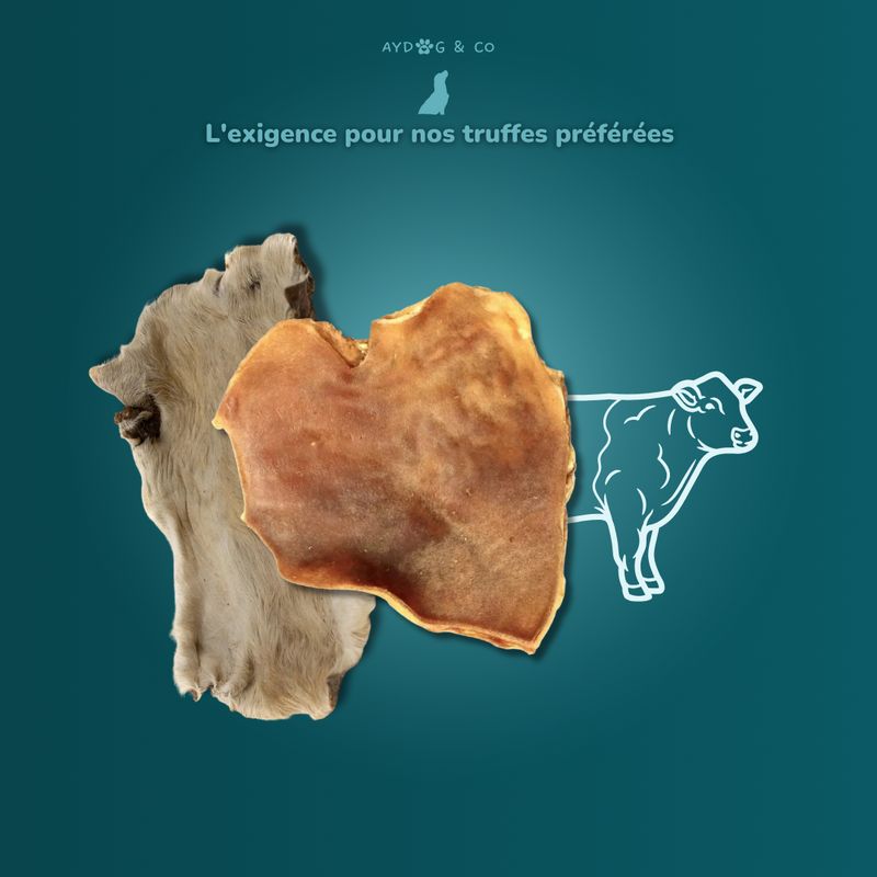 Plaque de peau de bœuf XL (Avec/sans poils) - Friandises pour chien
