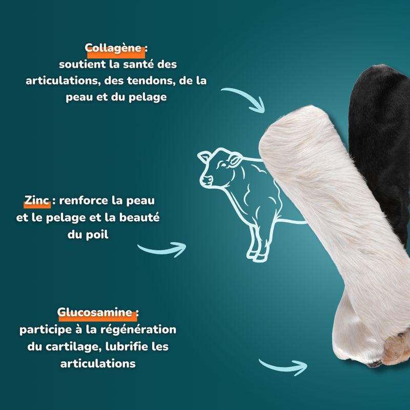 Peau de bœuf avec poils (S) - Friandises pour chien