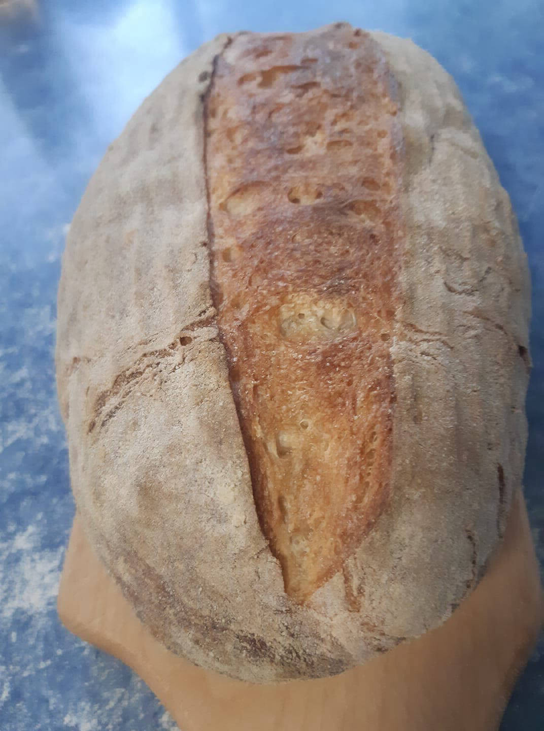 Sourdough Bread