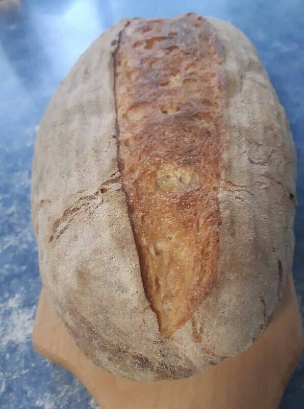 Sourdough Bread