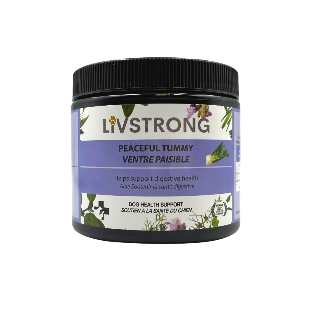 Livstrong - Digestive Supplement 150g
