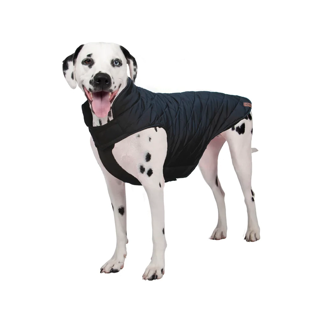 Shedrow K9 - Brentwood Quilted Dog Coat - Black Large