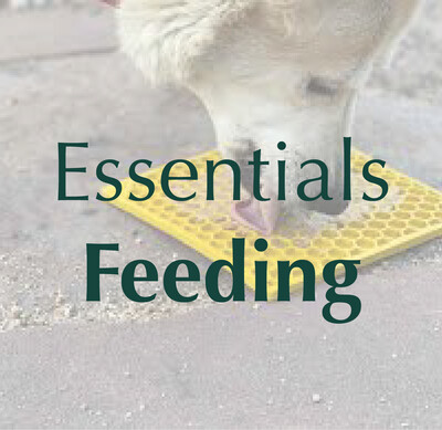 Essentials - Feeding