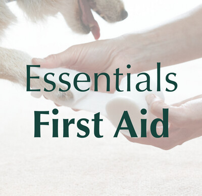Essentials - First Aid