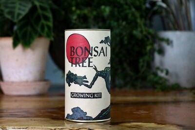 Bonsai Tree Seed Kit