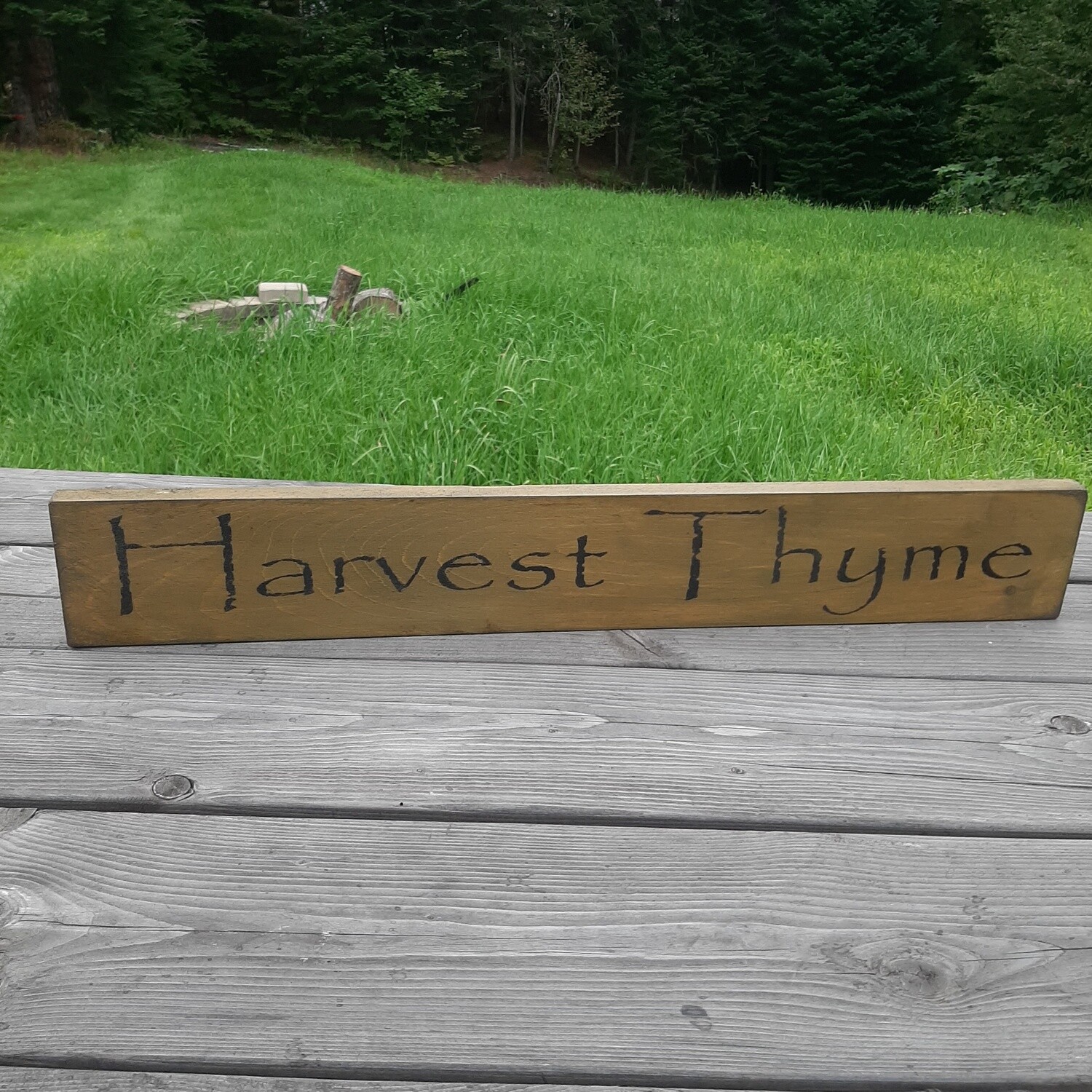 Harvest Thyme
