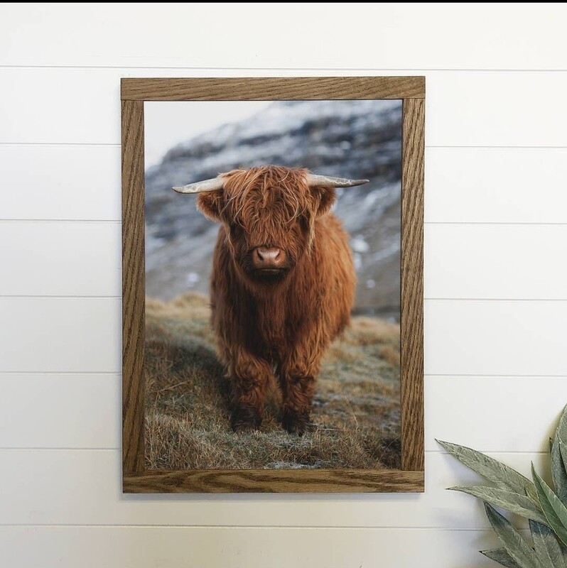 Highland Calf Framed Canvas