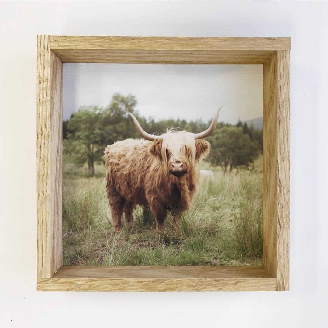 Highland Cow Framed Sign