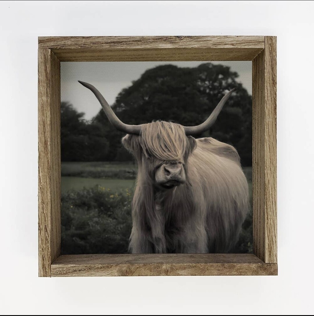 Framed Highland Cow Canvas Sign