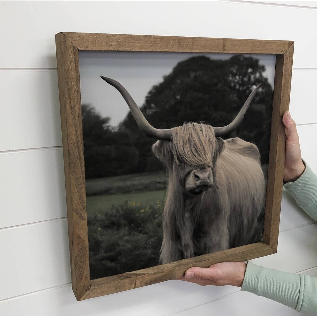 Well Groomed Highland Cow Framed Canvas