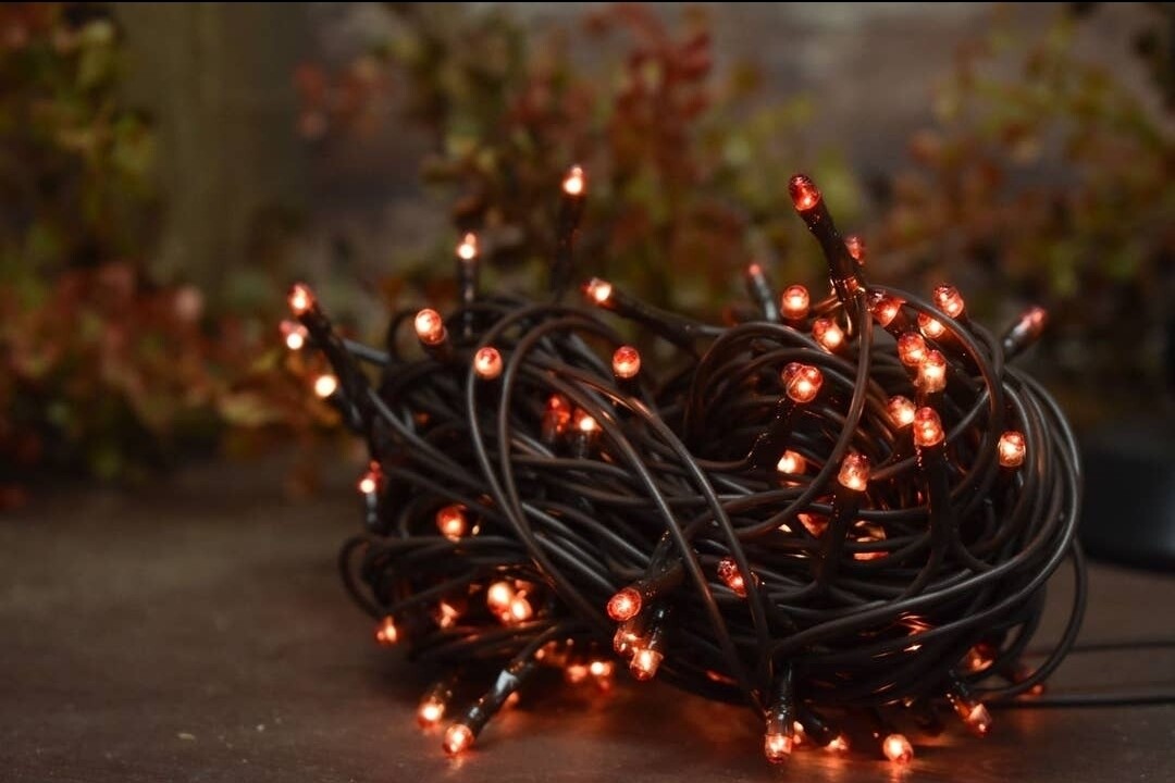 Amber 50 bulb primitive rice string light 10ft
