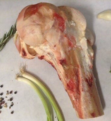Bones