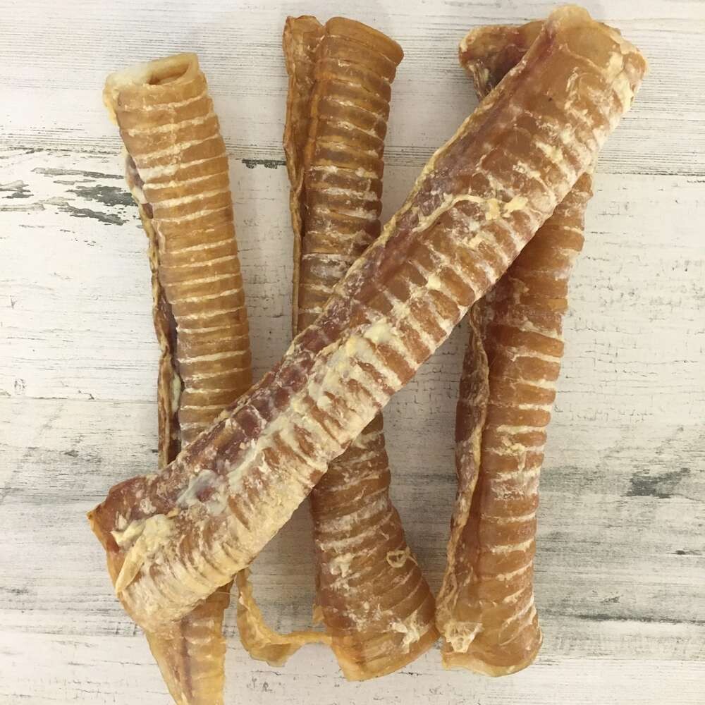 Dried trachea Dried trachea