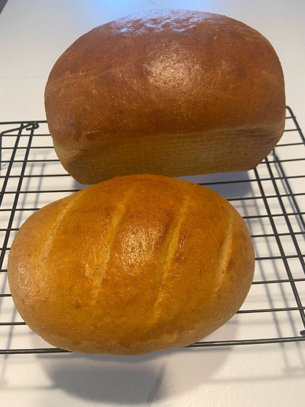 Fresh ground whole wheat bread from Straight Arrow Bison