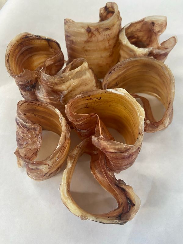 Bison Trachea, Dried