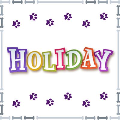 Holiday &amp; Seasonal
