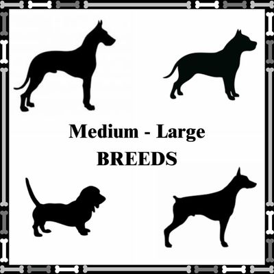 MEDIUM &amp; LARGE Breeds