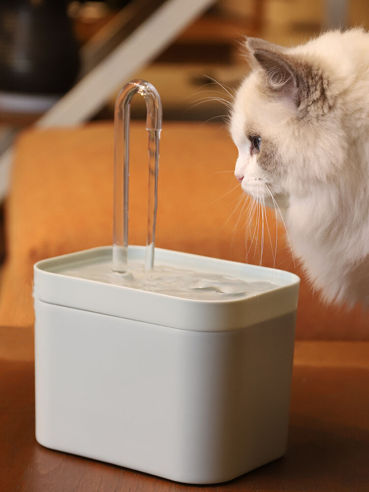 Cat Water Fountain Automatic Refill