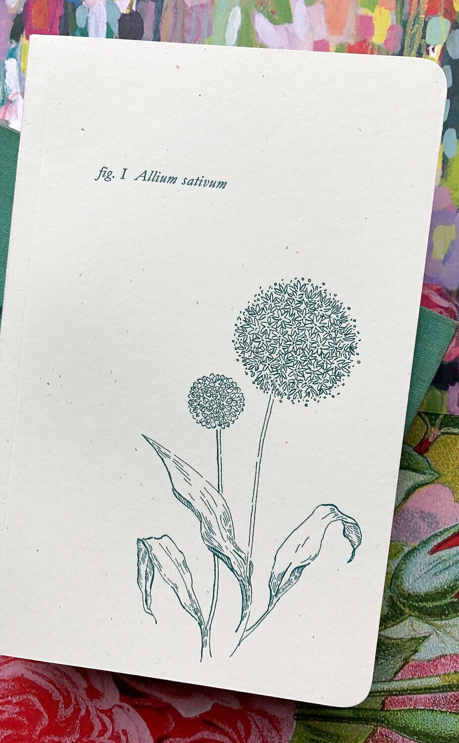 Allium Botanical Notebook