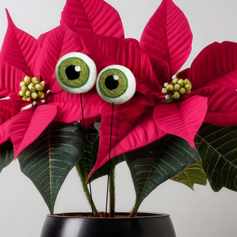 Felt Plant Eyeballs