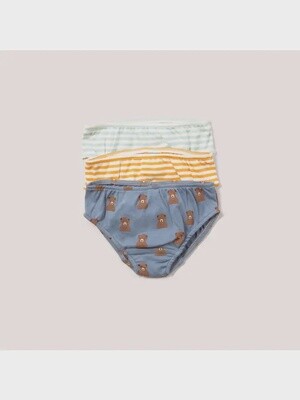 Organic Cotton Toddler Underwear - 3 Pack