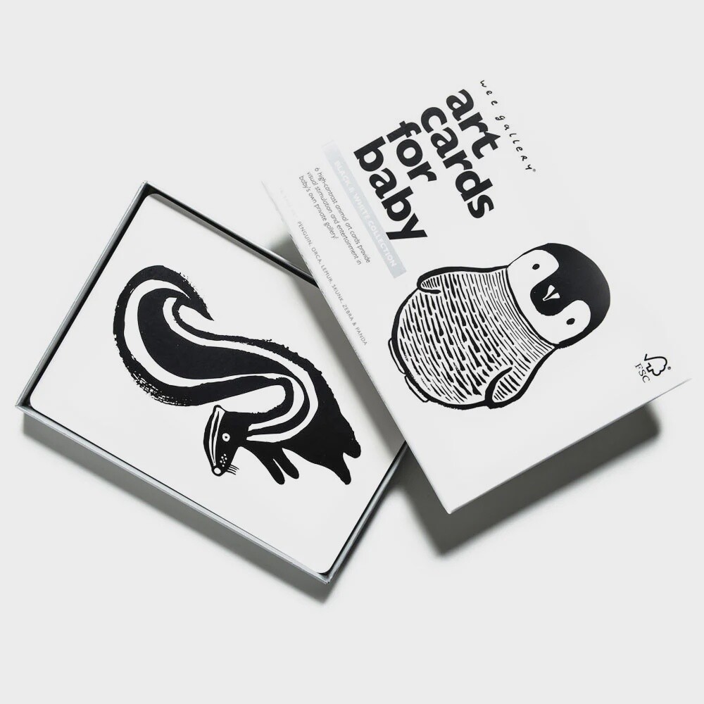 Art Cards for Baby - Black &amp; White Collection