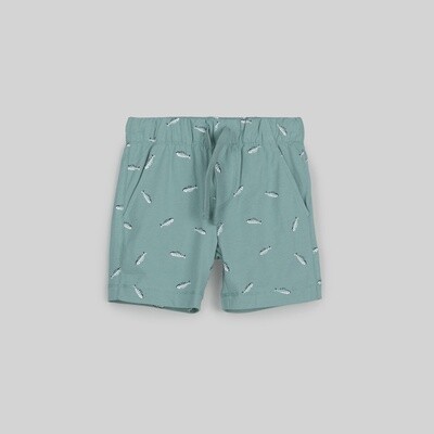 Boys Cotton Jersey Shorts - Seafoam