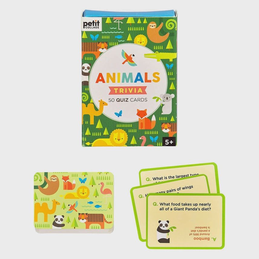 Quiz Cards - Animals