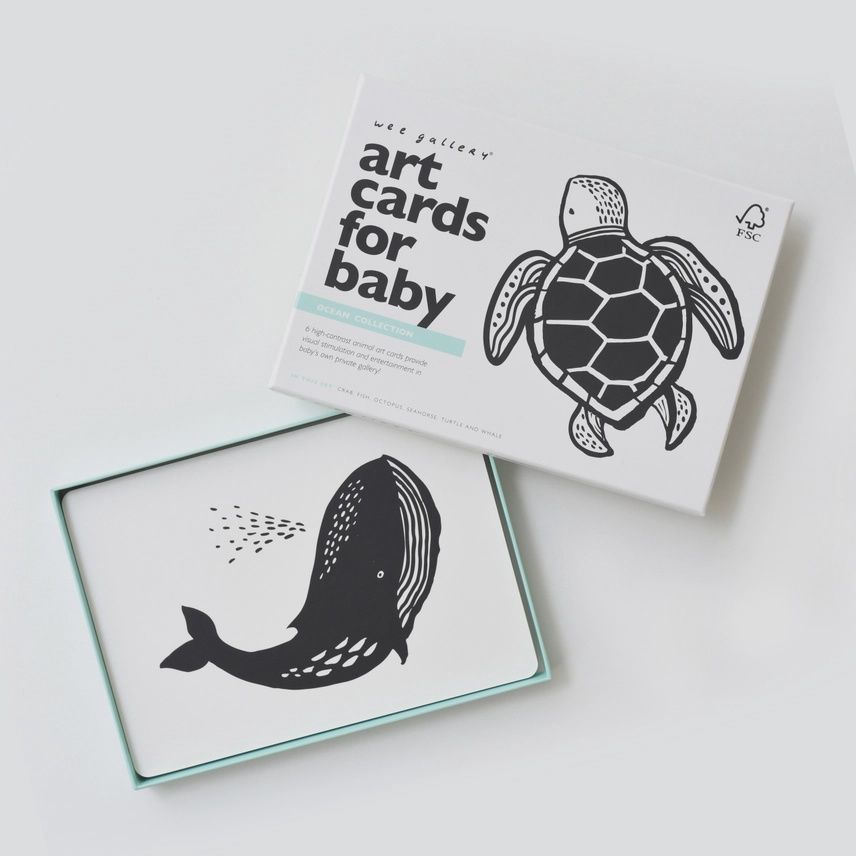 Art Cards for Baby - Ocean Collection