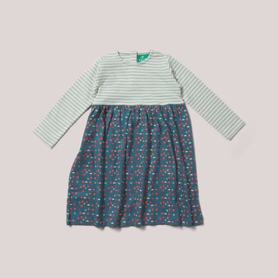 Baby Long Sleeve Cotton Dress - Blue Flowers