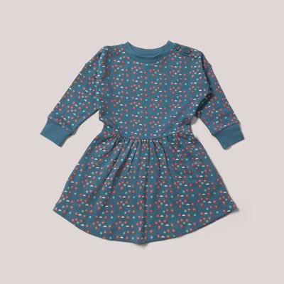 Toddler/Kids Long Sleeve Cotton Dress - Blue Flowers