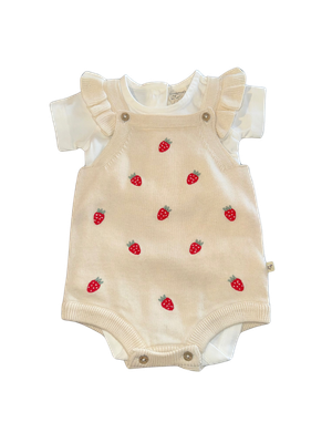 Baby Embroidered Knit Ruffle Romper &amp; Short Sleeve Bodysuit Set - Strawberry Creme