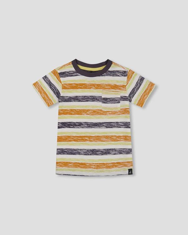 Boys Organic Cotton Short Sleeve T-Shirt - Multicolor Stripes