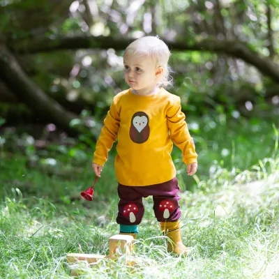 Little Green Radicals
