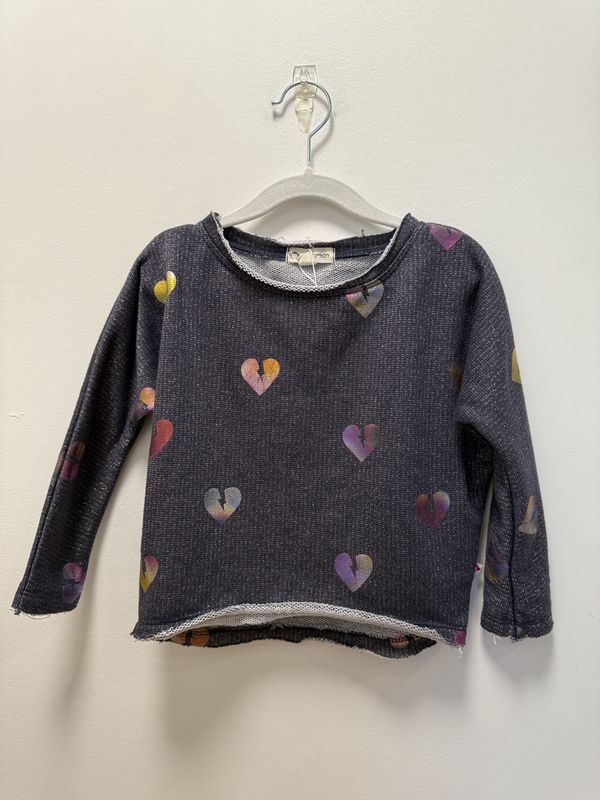 Used - Appaman - Sweatshirt - 3Y - PWE3820