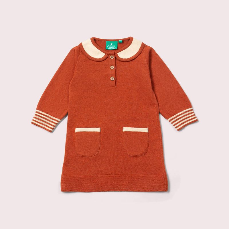 Ginger Knitted Collar Dress