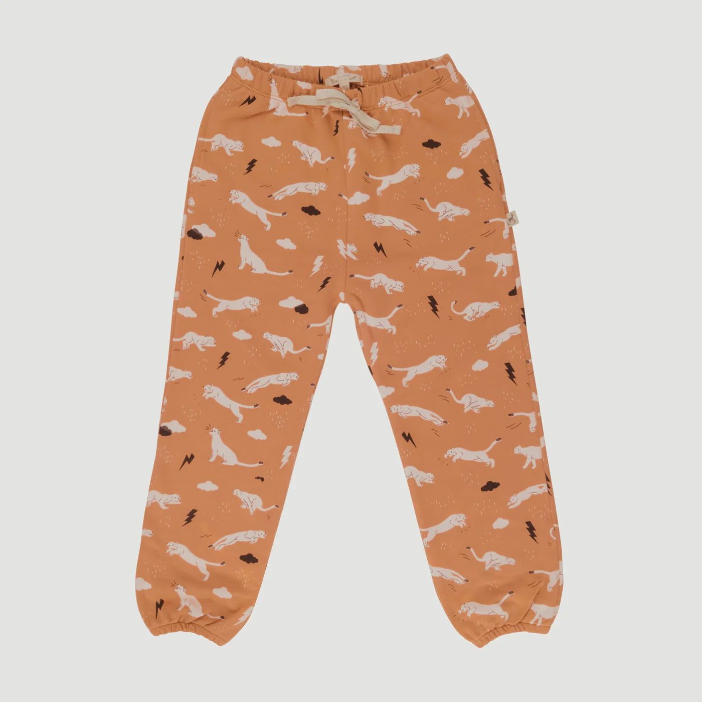 Kids French Terry Joggers - Thunder Puma/Doe